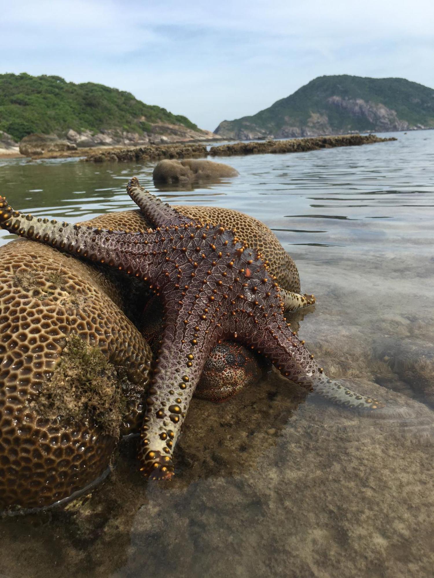 Cham Island Homestay Lau Thu Tan Hiep  Ngoại thất bức ảnh